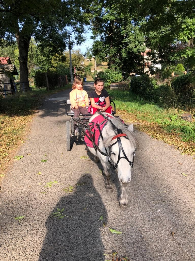 Spolek farmy Řehlovice  1