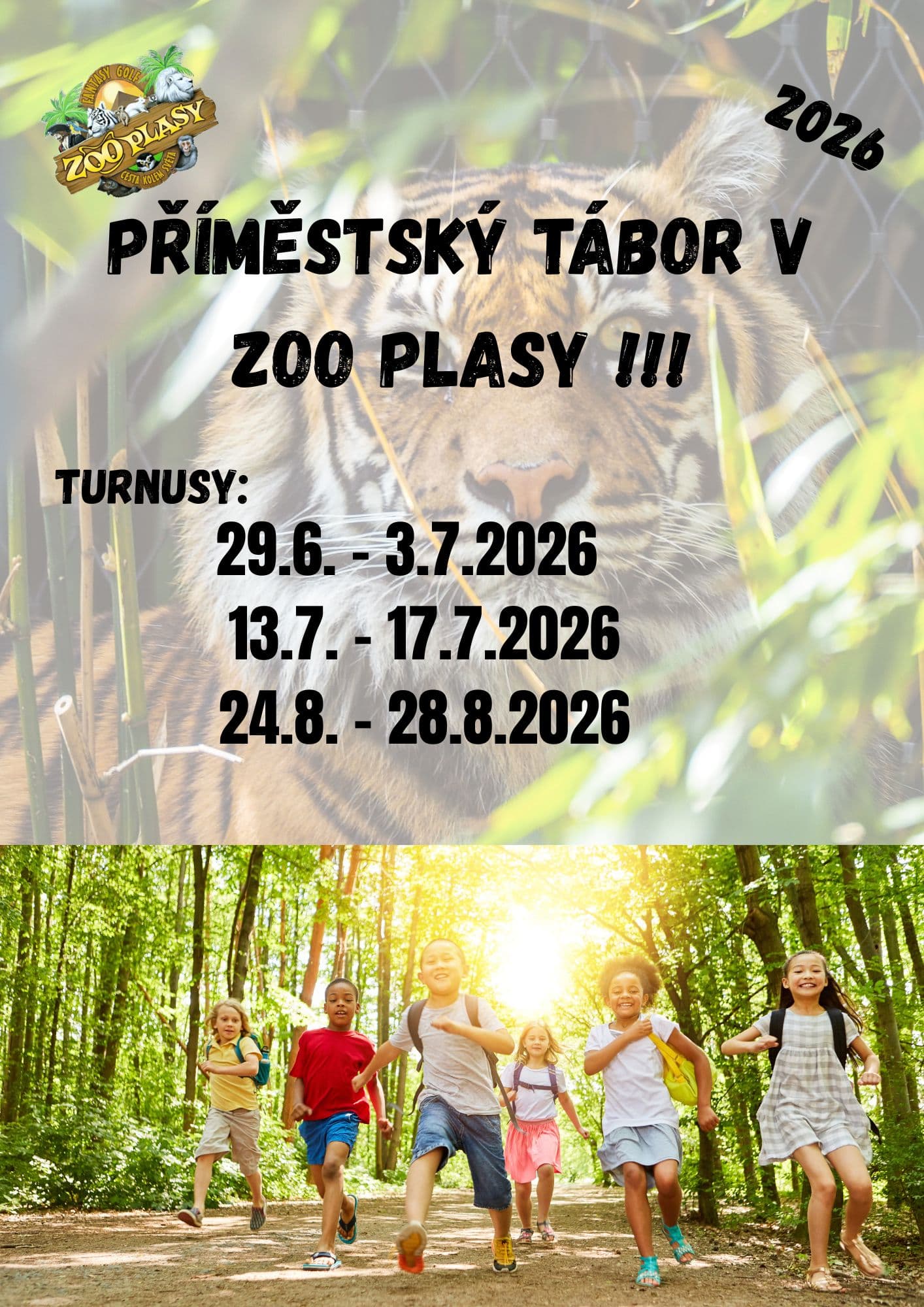 PŘÍMĚSTSKÝ TÁBOR V ZOO PLASY 1