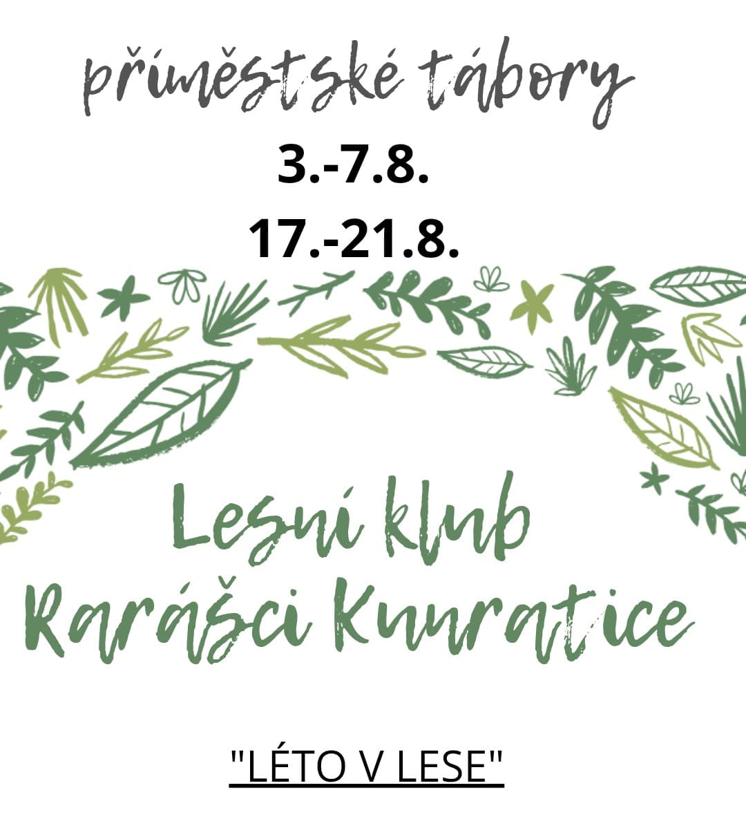 Léto v lese a na zahradě 1
